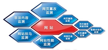 網神信息咨詢服務 數字化時代的專業導航